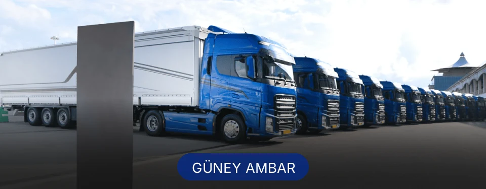 Güney Ambar