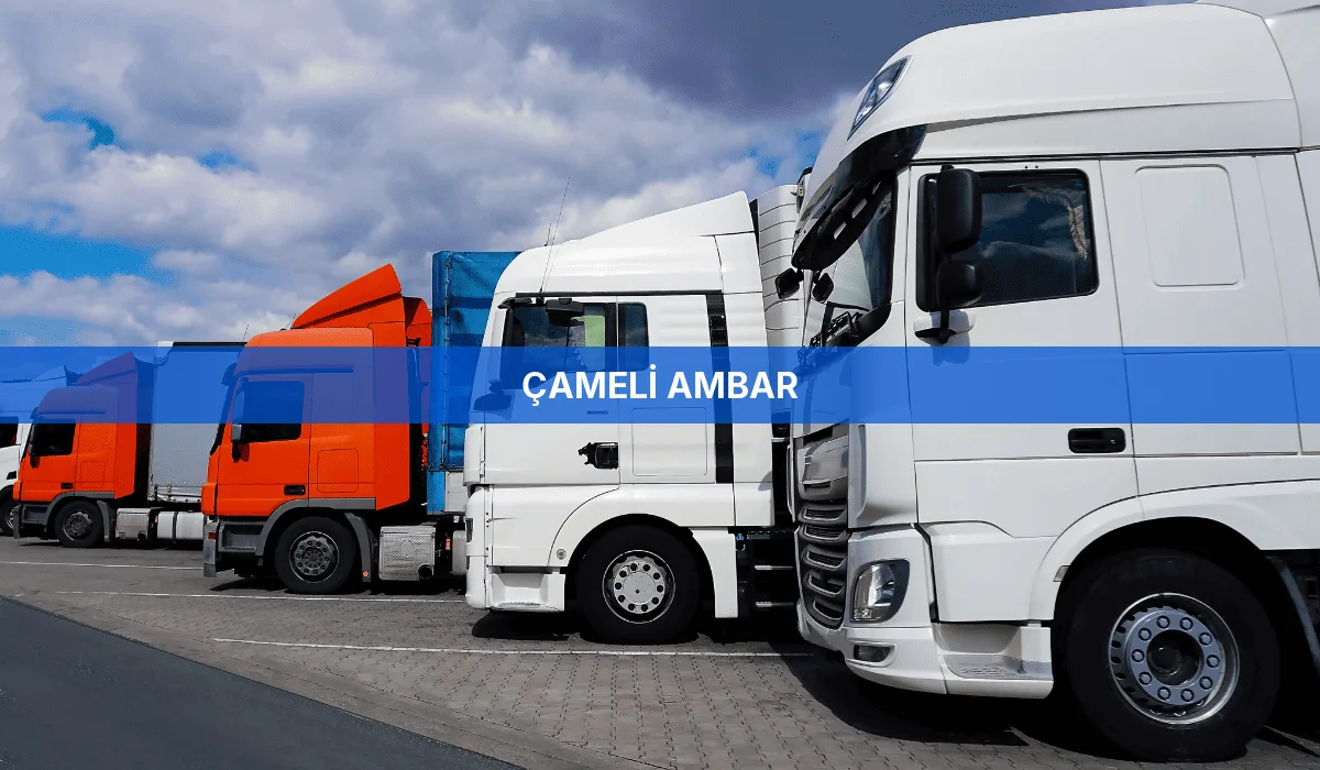 Çameli Ambar