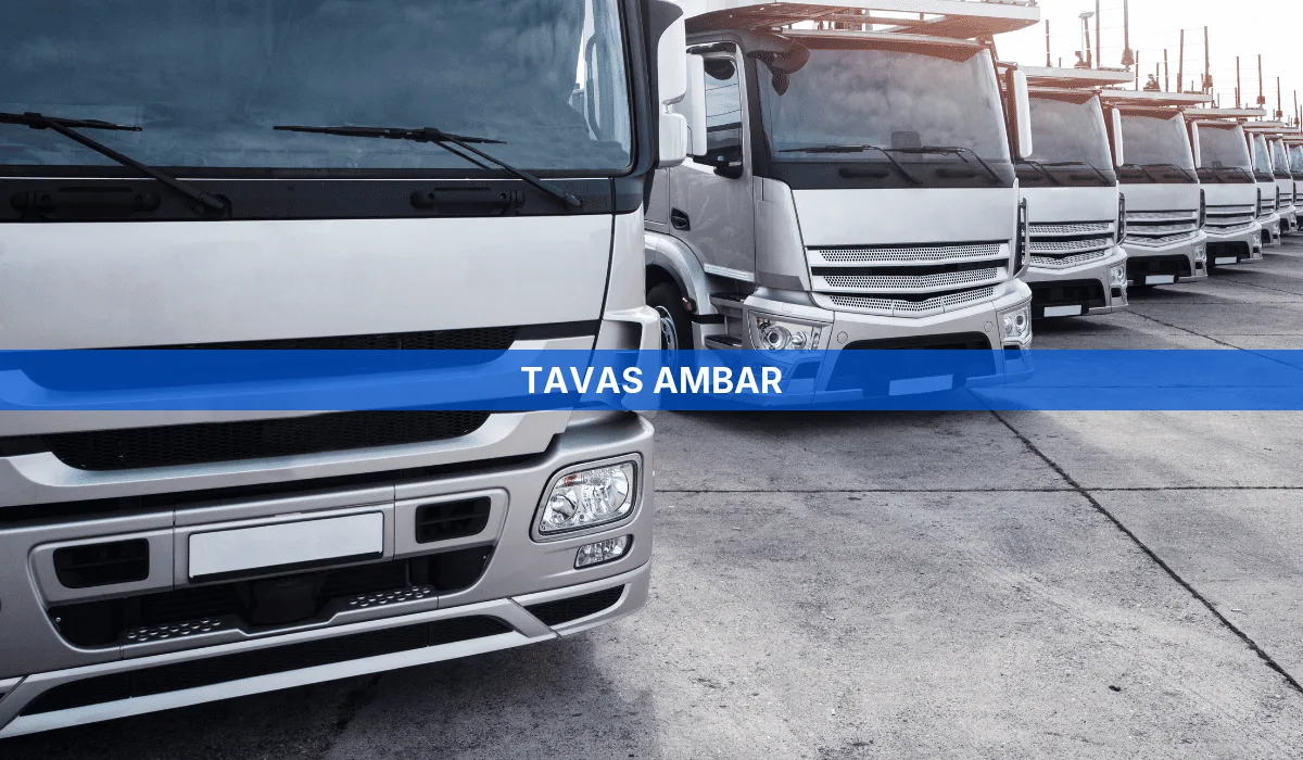 Tavas Ambar